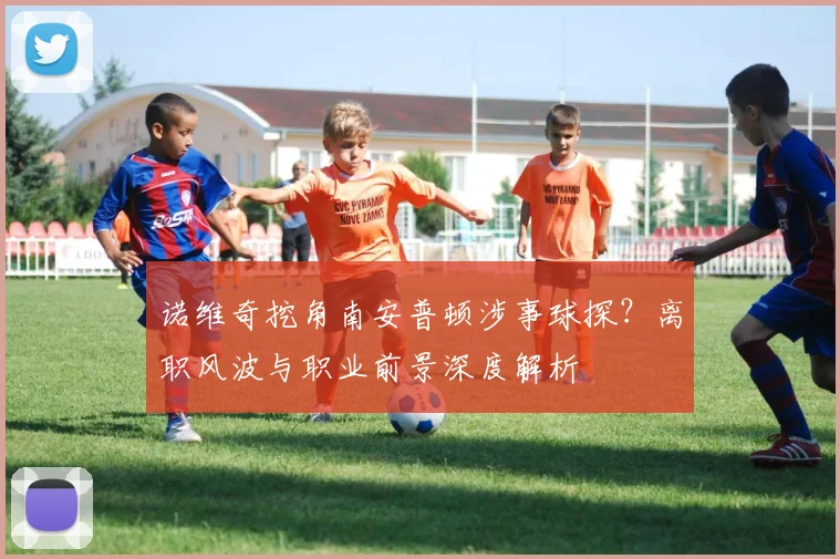 诺维奇挖角南安普顿涉事球探？离职风波与职业前景深度解析